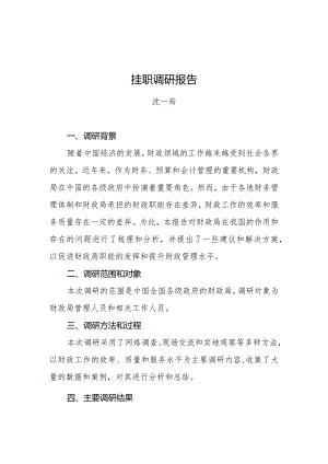 挂职调研报告.docx