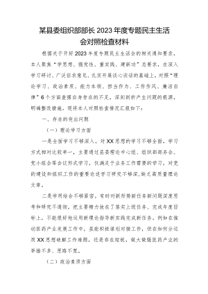 某县委组织部部长2023年度专题民主生活会对照检查材料.docx