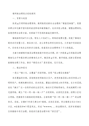 镇网格治理亮点经验案例.docx