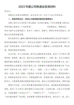 2023年度公司务虚会发言材料.docx