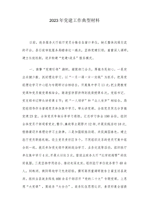 2023年党建工作典型材料.docx