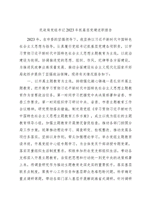 民政系统书记2023-2024年抓基层党建述职报告.docx