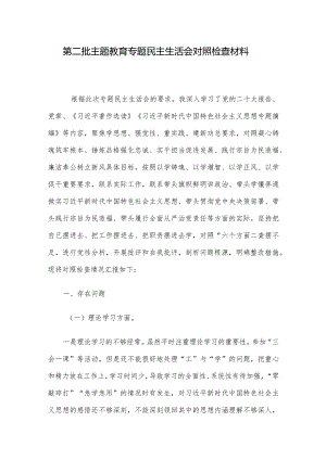 第二批主题教育专题民主生活会对照检查材料.docx