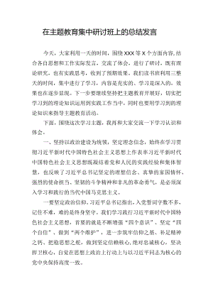 在主题教育集中研讨班上的总结发言.docx