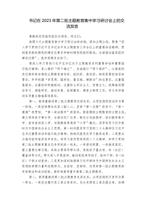 书记在2023年第二批主题教育集中学习研讨会上的交流发言.docx