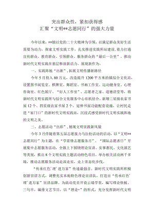 新时代文明实践所年终述职.docx