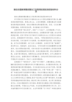 推动主题教育整改整治工作取得实绩实效经验材料分享.docx