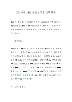 XX街道2023年度总河长述职报告 .docx