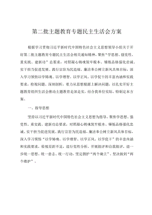 第二批主题教育民主生活会实施方案.docx