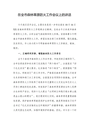 在全市森林草原防火工作会议上的讲话.docx