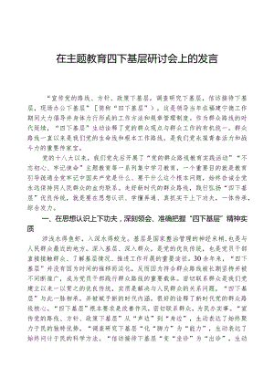 在主题教育四下基层研讨会上的发言.docx