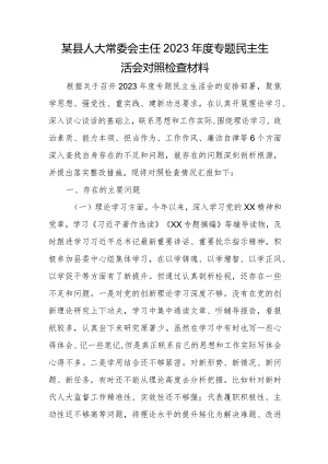 某县人大常委会主任2023年度专题民主生活会对照检查材料.docx