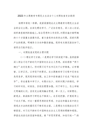 2023年主题教育专题民主生活会个人对照检查发言提纲.docx