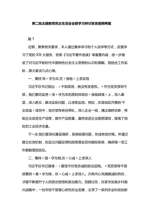 第二批主题教育民主生活会会前学习研讨发言提纲两篇.docx
