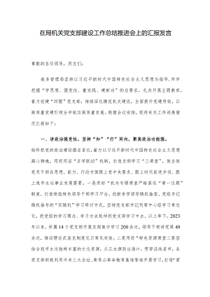 在局机关党支部建设工作总结推进会上的汇报发言.docx