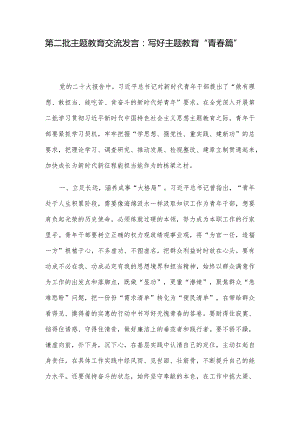 第二批主题教育交流发言：写好主题教育“青春篇”.docx