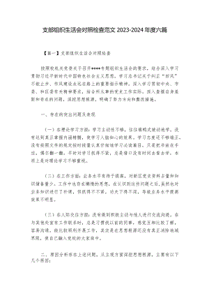 支部组织生活会对照检查范文2023-2024年度六篇_1.docx