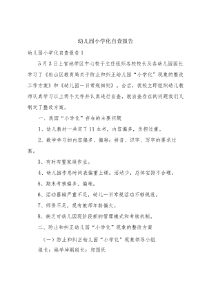 幼儿园小学化自查报告.docx