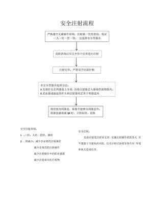 安全注射流程.docx