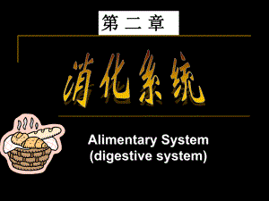 人体解剖5.消化系统消化管.ppt