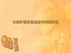 分级护理质量追踪与持续改进.ppt