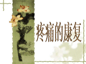 医院护理培训资料疼痛的康复.ppt