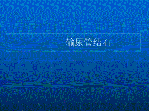 [整理版]输尿管结石.ppt