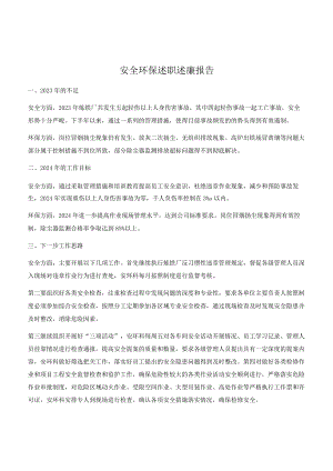 【模板】年度安全环保述职述廉报告（10页）.docx