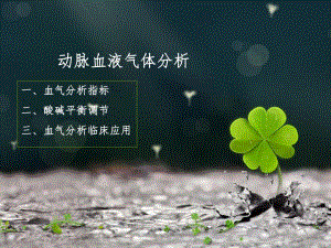 动脉血气分析.ppt