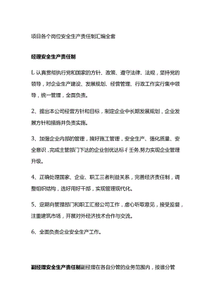 项目各个岗位安全生产责任制汇编全套.docx