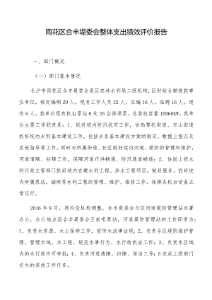 雨花区合丰堤委会整体支出绩效评价报告.docx
