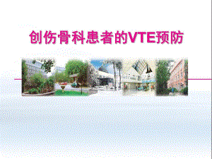 创伤骨科患者的VTE预防.ppt