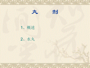 制剂生产水丸泛制工艺.ppt