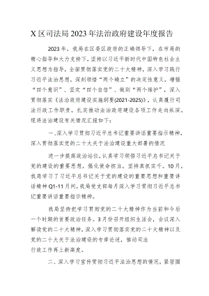 X区司法局2023年法治政府建设年度报告.docx