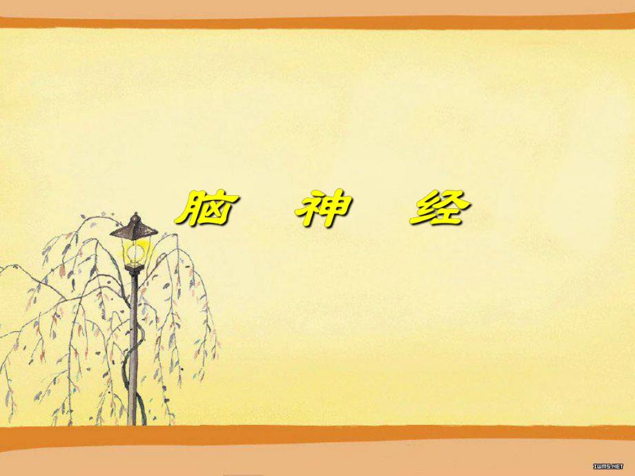 十二对脑神经资料PPT课程.ppt_第1页