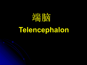 中枢神经系统解剖端脑1.ppt