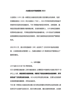 大血管炎诊疗指南更新2023.docx