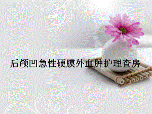 后颅凹急性硬膜外血肿护理查房.ppt