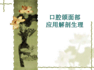 口腔颌面部应用解剖生理1.ppt