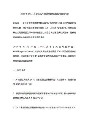 2023年SGLT-2i治疗成人肾脏病临床实践指南重点内容.docx