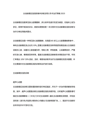 主动脉瓣反流的影像学诊断及两大手术治疗策略2023.docx