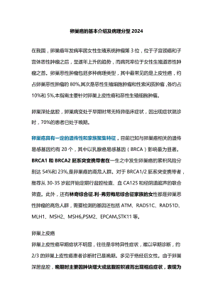 卵巢癌的基本介绍及病理分型2024.docx