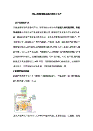 2024乳酸性酸中毒的诊断与治疗.docx