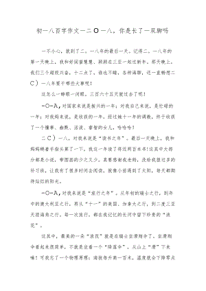 初一八百字作文—二〇一八你是长了一双脚吗.docx