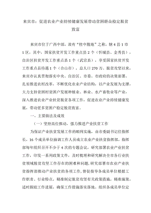 来宾市：促进农业产业持续健康发展带动贫困群众稳定脱贫致富.docx