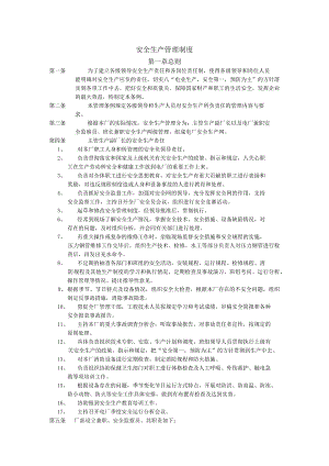 电厂安全生产管理制度.docx