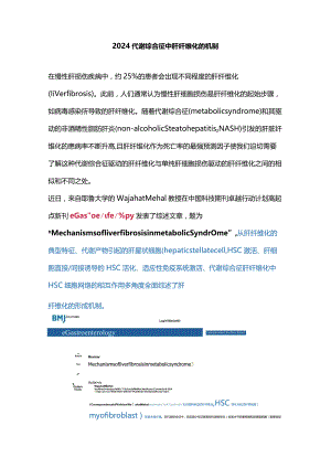 2024代谢综合征中肝纤维化的机制.docx