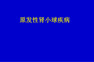 原发性肾小球肾炎.ppt