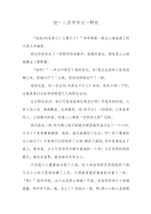初一八百字作文—野炊.docx