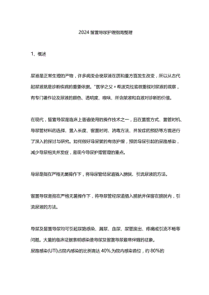 2024留置导尿护理指南整理.docx